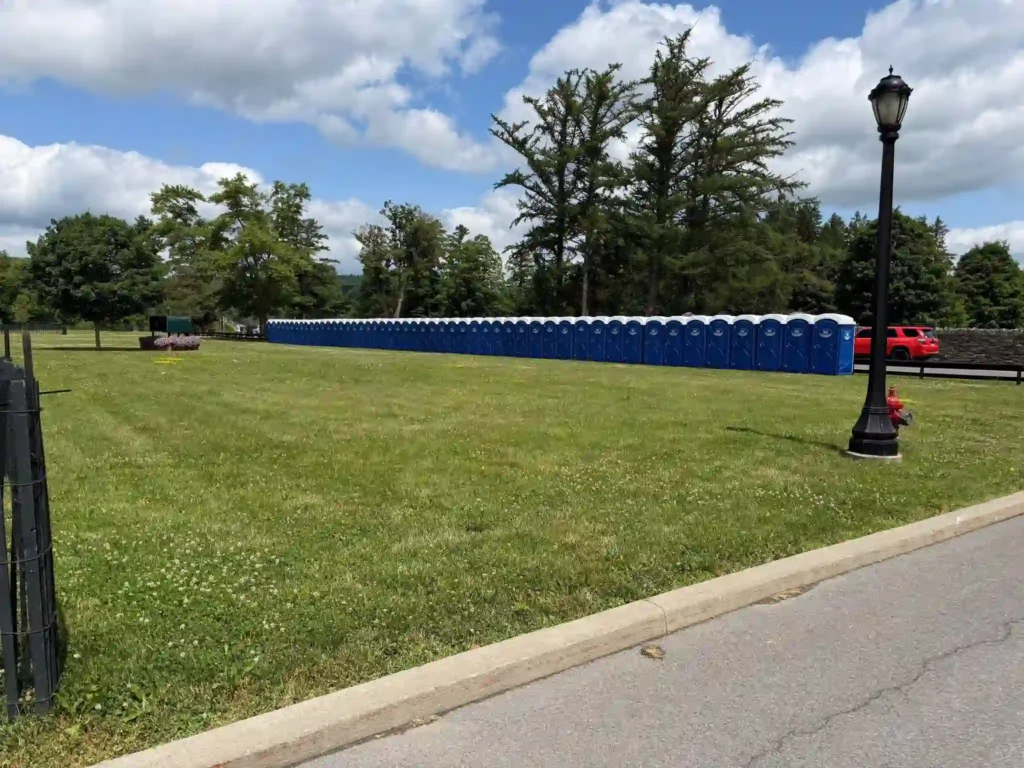 Deluxe Flushable Porta Potties